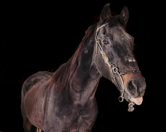 ZII_4941-Edit