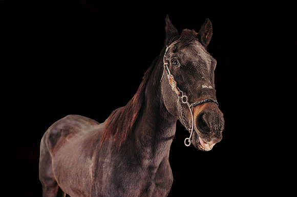 ZII_4943-Edit