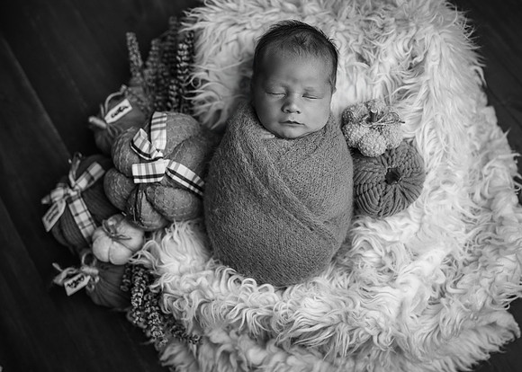 Z72_7171-Edit