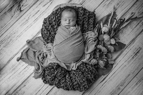 Z72_7283-Edit