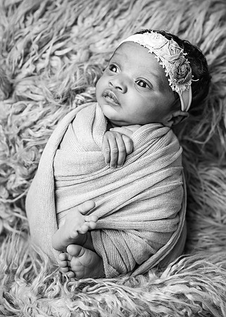ZII_1676-Edit