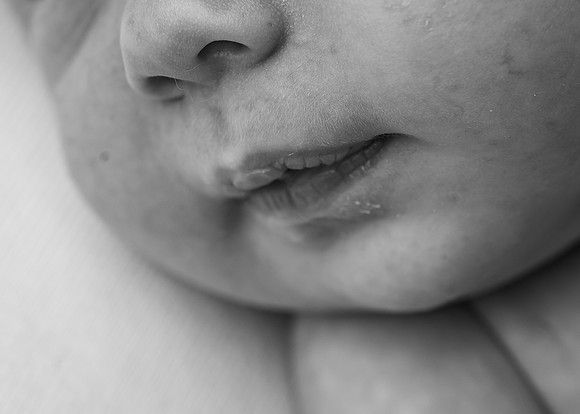 _Z628233