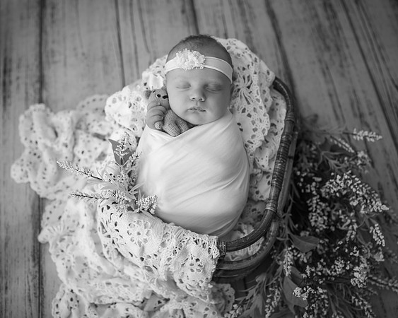 _Z628272-Edit