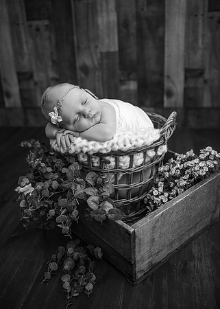 _Z628328-Edit