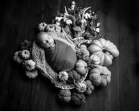 Z72_8662-Edit