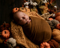 Z72_8667-Edit