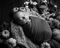 Z72_8668-Edit