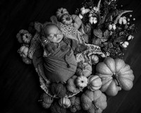 Z72_8675-Edit