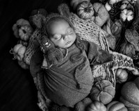 Z72_8682-Edit