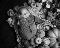 Z72_8687-Edit