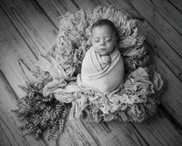 _Z628996-Edit