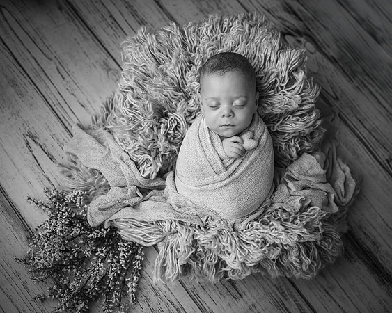 _Z629010-Edit