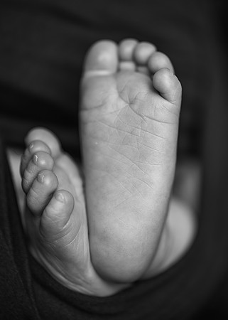 _Z629040