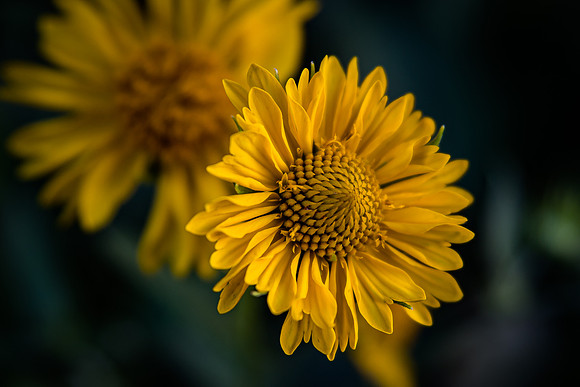 _7504310