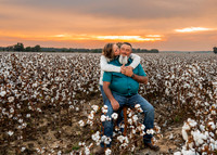 _Z612288