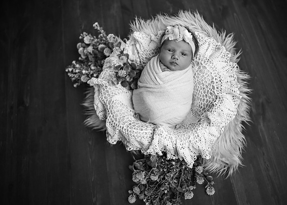 Z62_9621-Edit