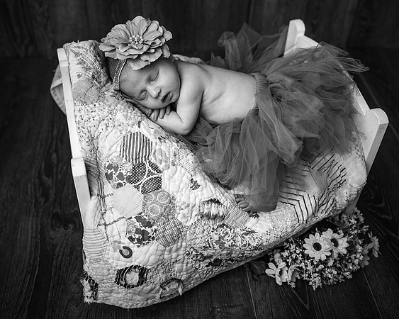 ZII_8246-Edit