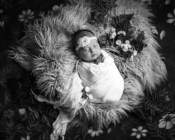 ZII_8261-Edit