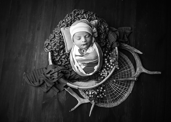 ZII_0781-Edit