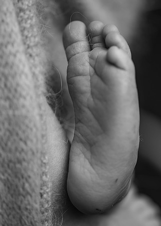 _Z726624