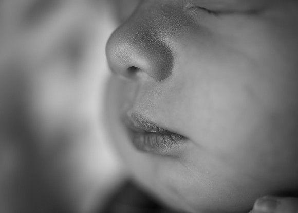 _Z720354