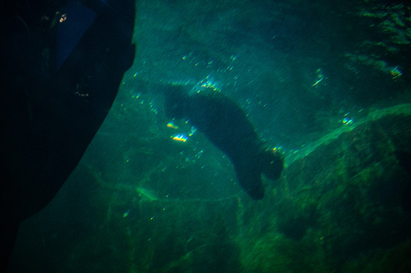 ZII_0025-3