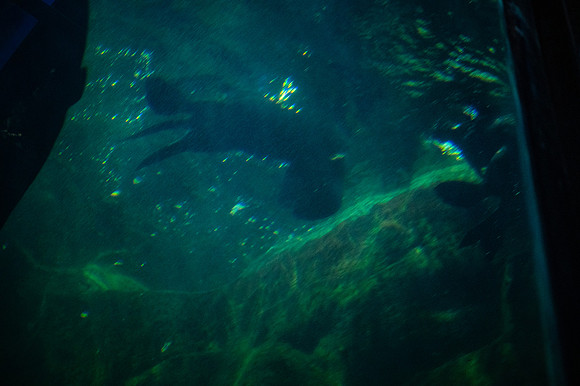 ZII_0026-3