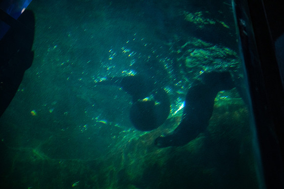 ZII_0027-3