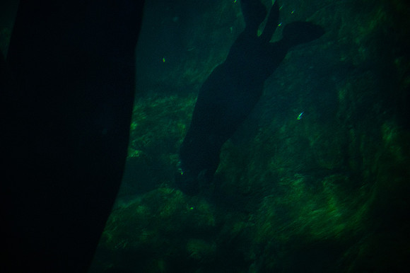 ZII_0029-3