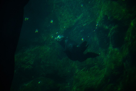 ZII_0031-3