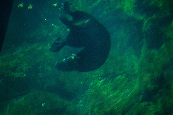 ZII_0030-3