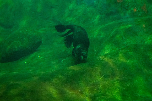 ZII_0042-3