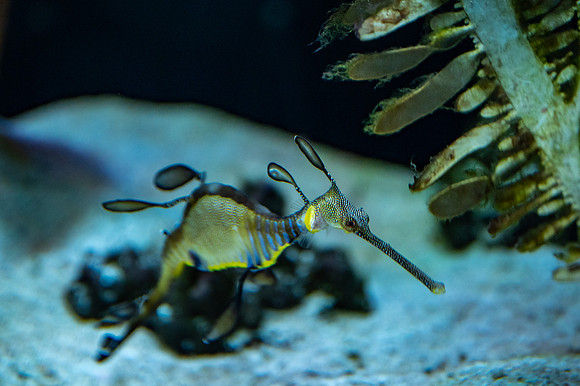 ZII_0064-2