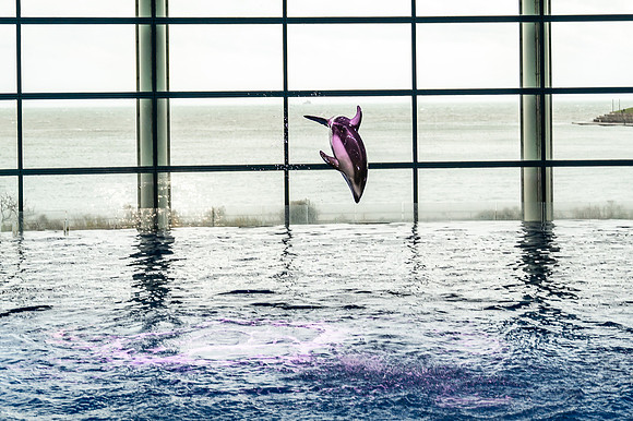 ZII_9943