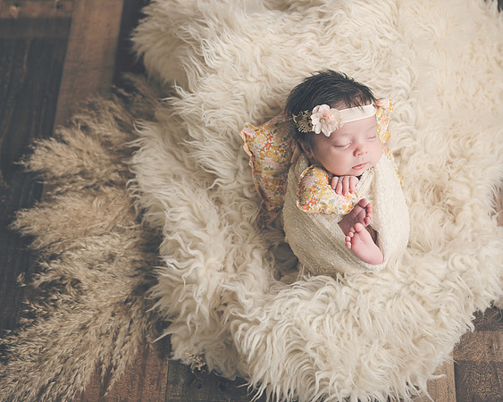 ZII_9719-Edit