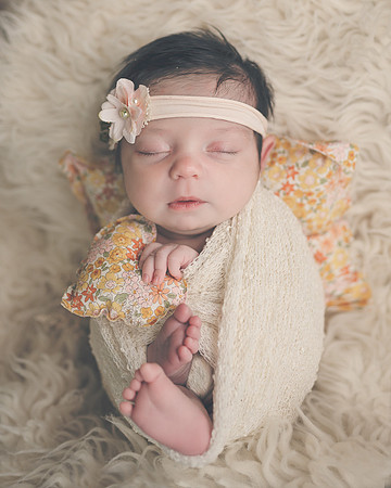 ZII_9733-Edit