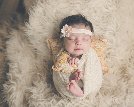 ZII_9735-Edit