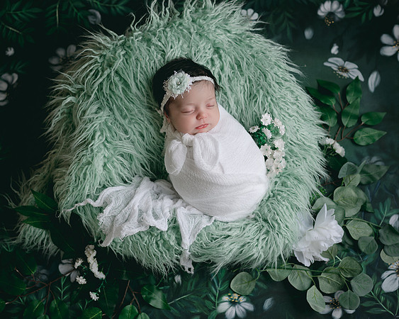 ZII_9754-Edit