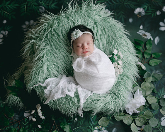 ZII_9773-Edit-Edit