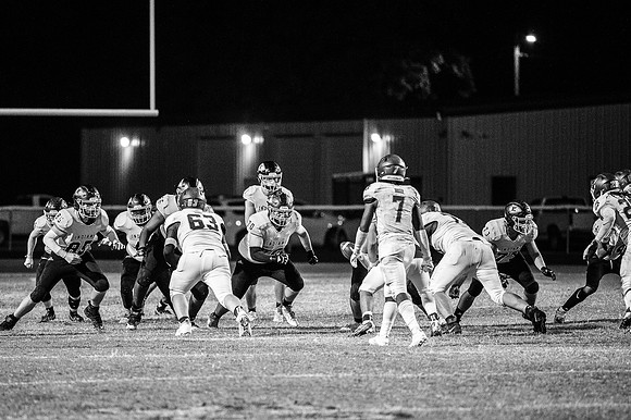 DSC_3446
