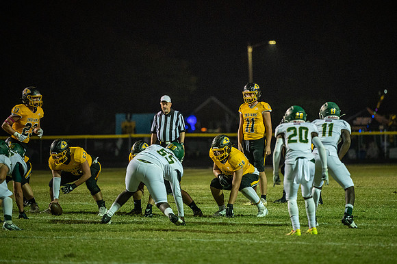 DSC_2951