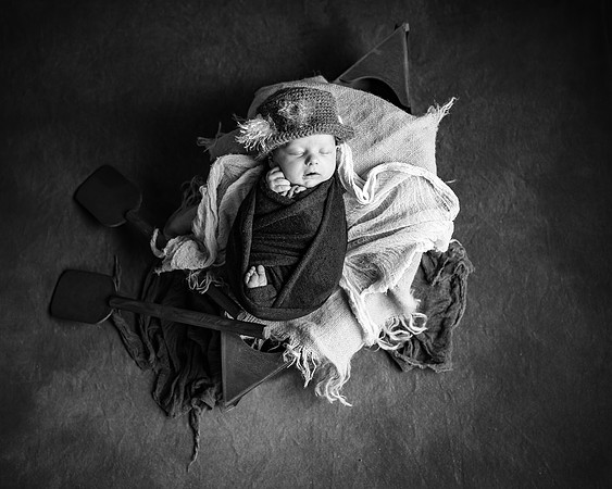 ZII_1656-Edit