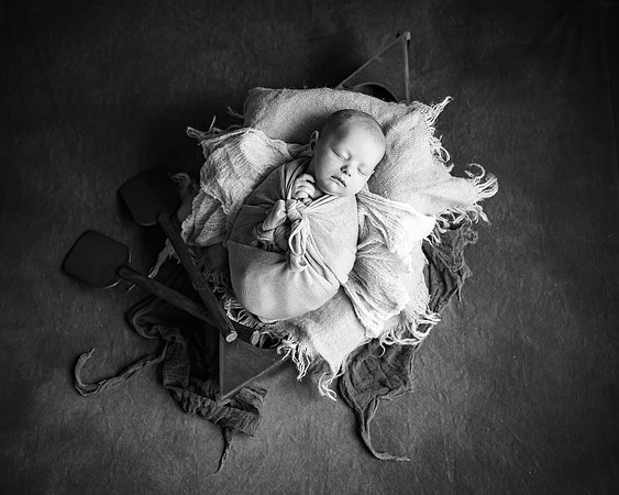 ZII_1674-Edit