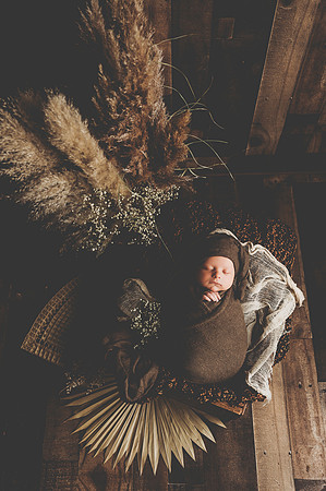 ZII_1689-Edit