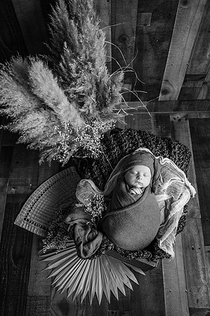 ZII_1690-Edit
