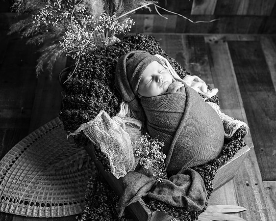 ZII_1713-Edit