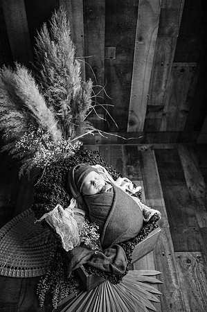 ZII_1717-Edit