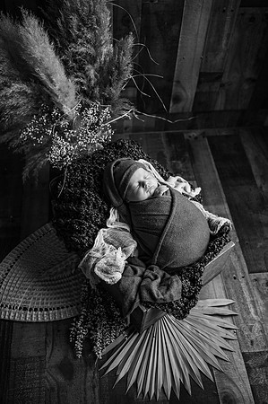 ZII_1733-Edit