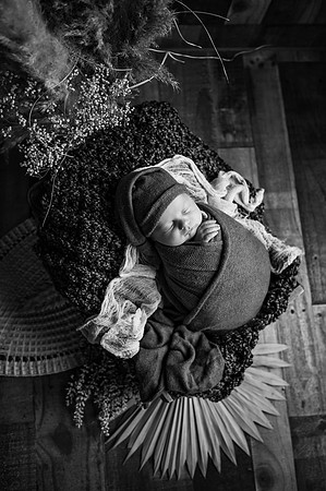 ZII_1737-Edit