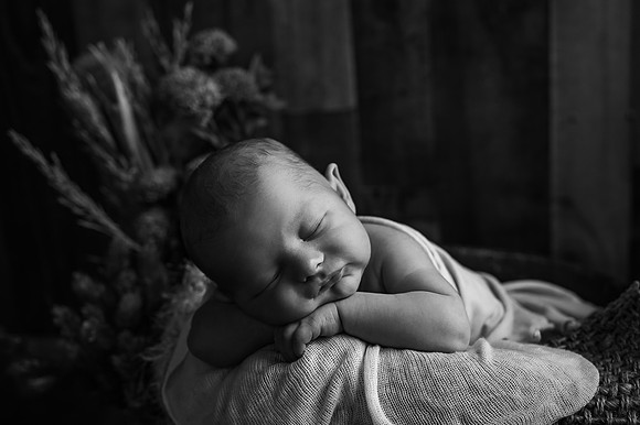 ZII_1764-Edit